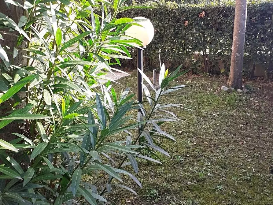 Immagine 2 di Appartamento in vendita  a Massa