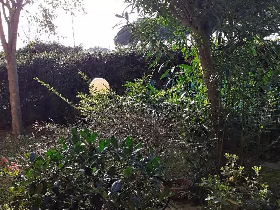 Immagine 19 di Appartamento in vendita  a Massa