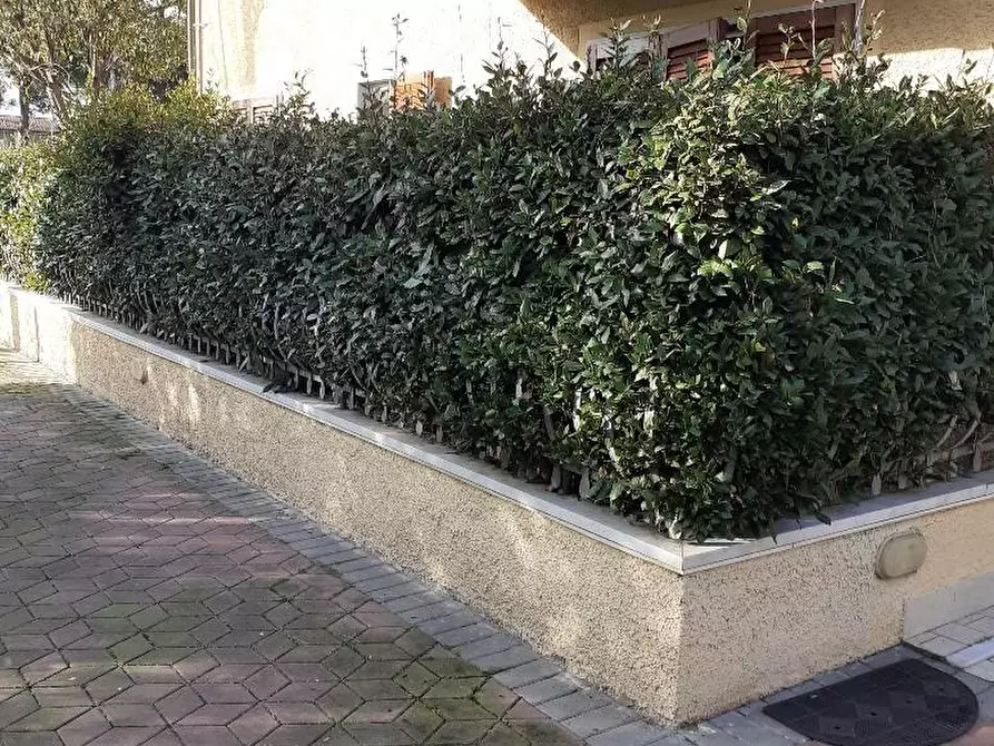 Immagine 22 di Appartamento in vendita  a Massa