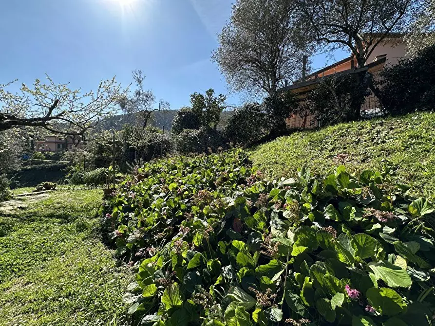Immagine 13 di Casa semindipendente in vendita  a Ameglia