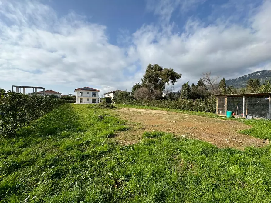 Immagine 6 di Villa in vendita  a Pietrasanta