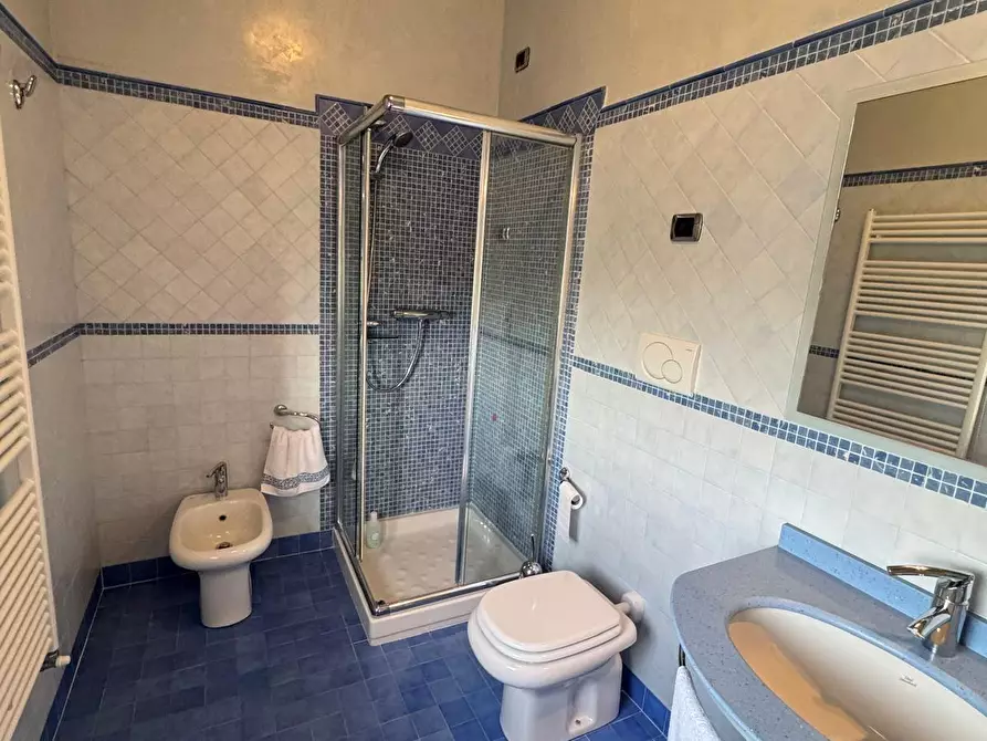 Immagine 24 di Villa in affitto  a Forte Dei Marmi