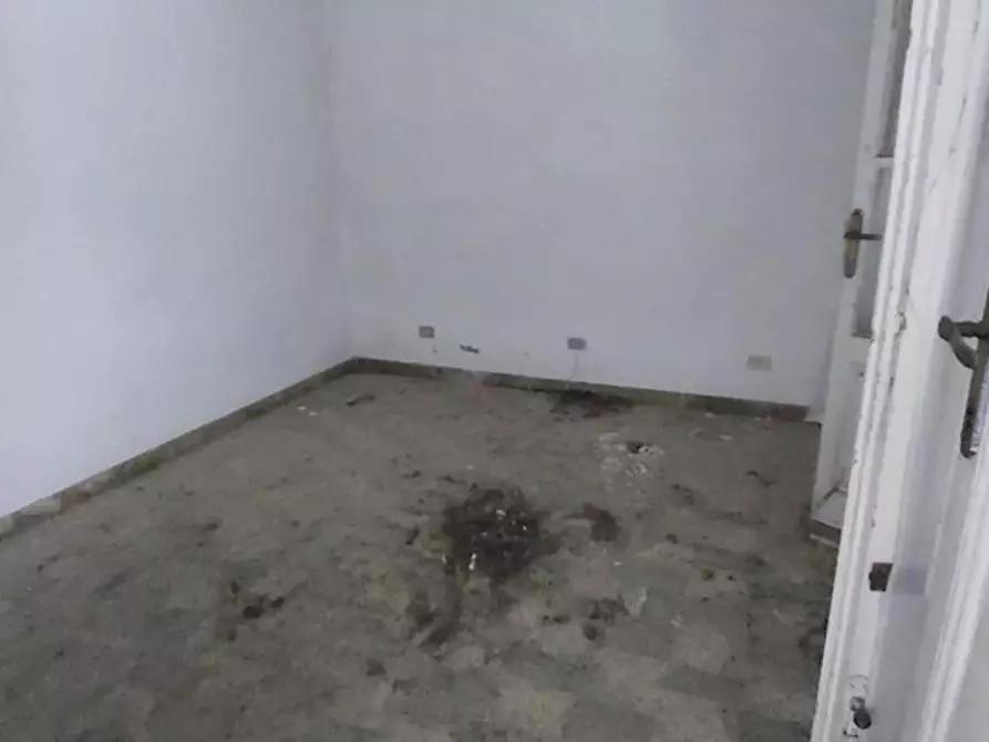 Immagine 72 di Villa in vendita  a Viareggio