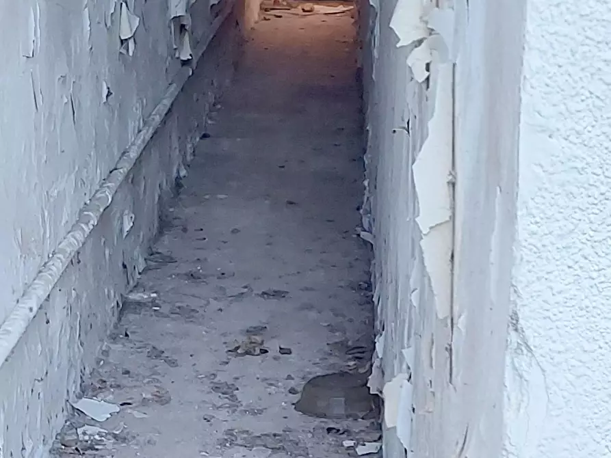 Immagine 89 di Villa in vendita  a Viareggio