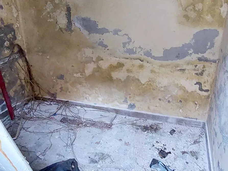 Immagine 85 di Villa in vendita  a Viareggio