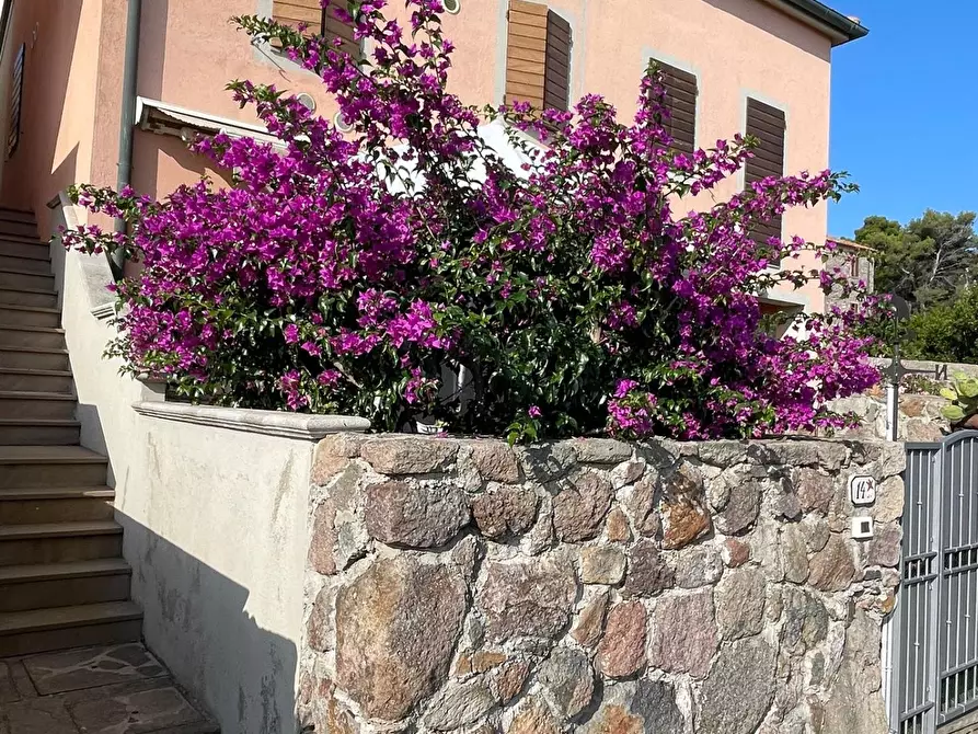 Immagine 1 di Villetta a schiera in vendita  a Capraia Isola