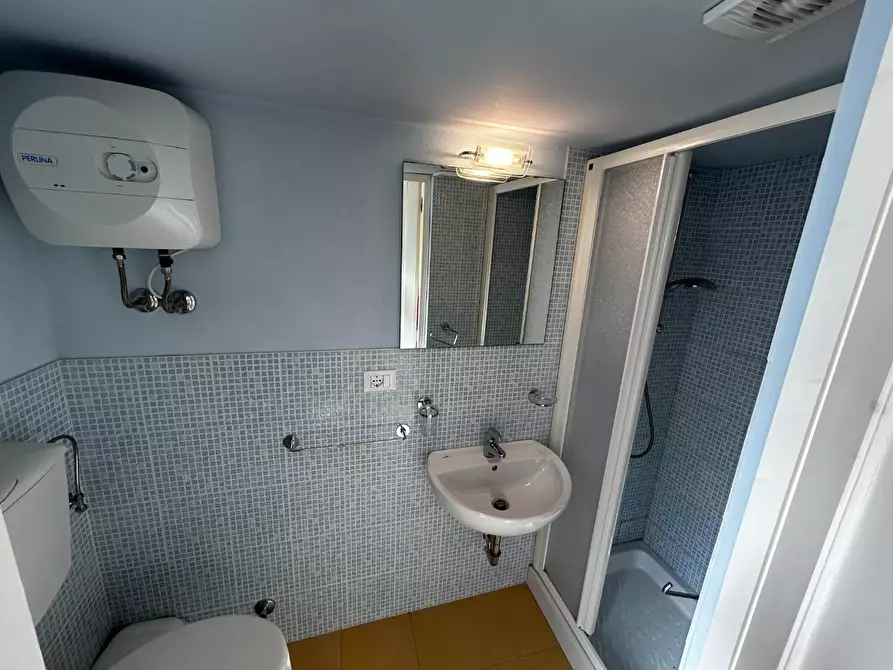 Immagine 9 di Villa in affitto  a Forte Dei Marmi