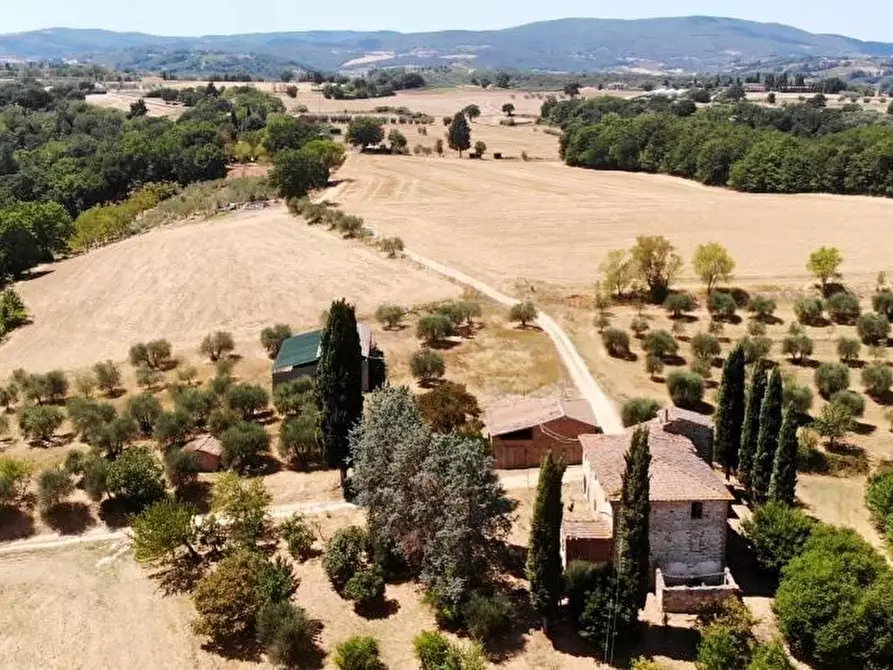 Immagine 2 di Casa colonica in vendita  a Colle Di Val D'elsa