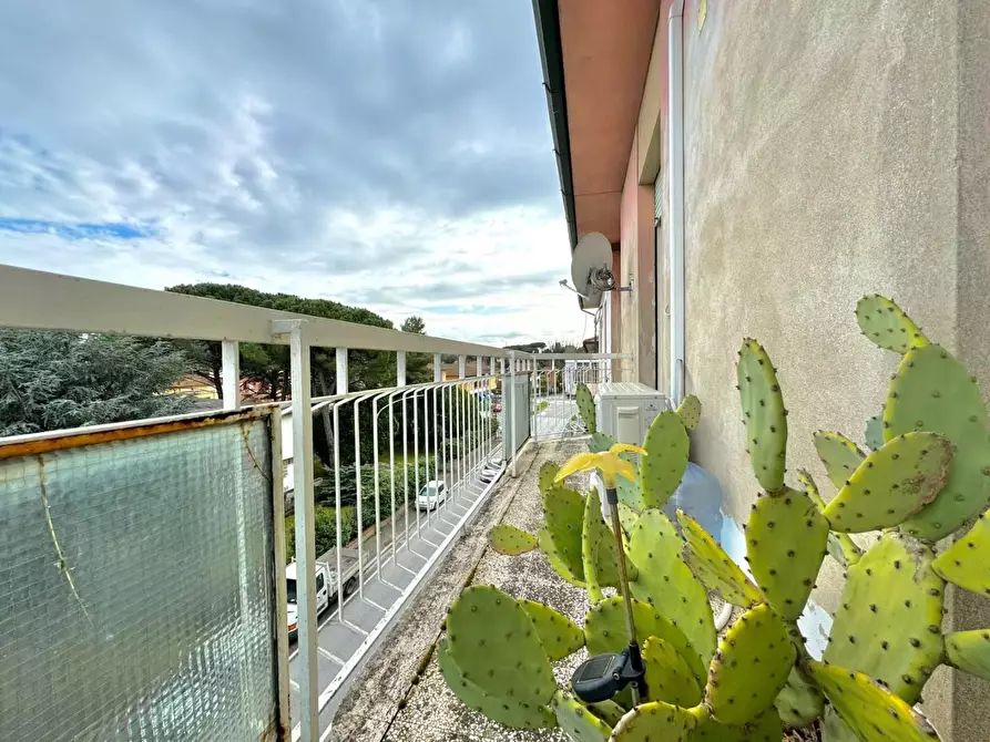 Immagine 12 di Appartamento in vendita  a Ponsacco