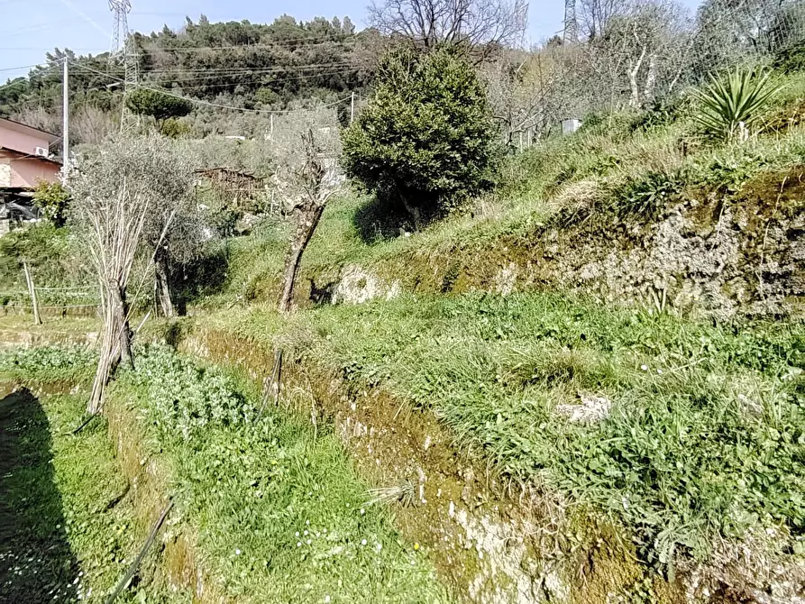 Immagine 25 di Casa indipendente in vendita  a Carrara