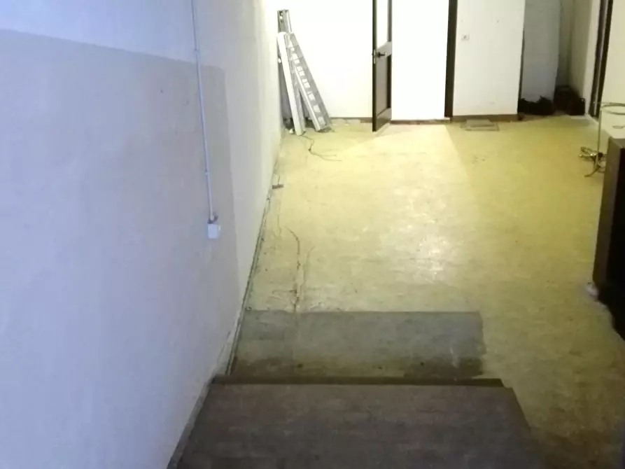 Immagine 5 di Magazzino in affitto  a Carrara