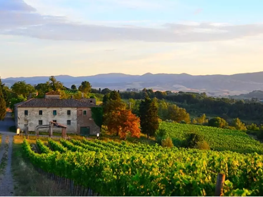 Immagine 1 di Terreno agricolo in vendita  a Peccioli