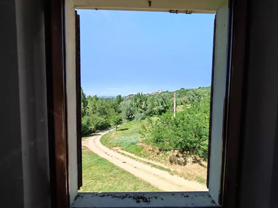 Immagine 8 di Casa colonica in vendita  a Peccioli