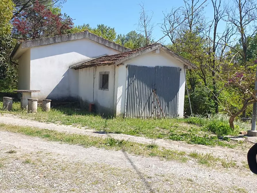 Immagine 16 di Casa colonica in vendita  a Peccioli