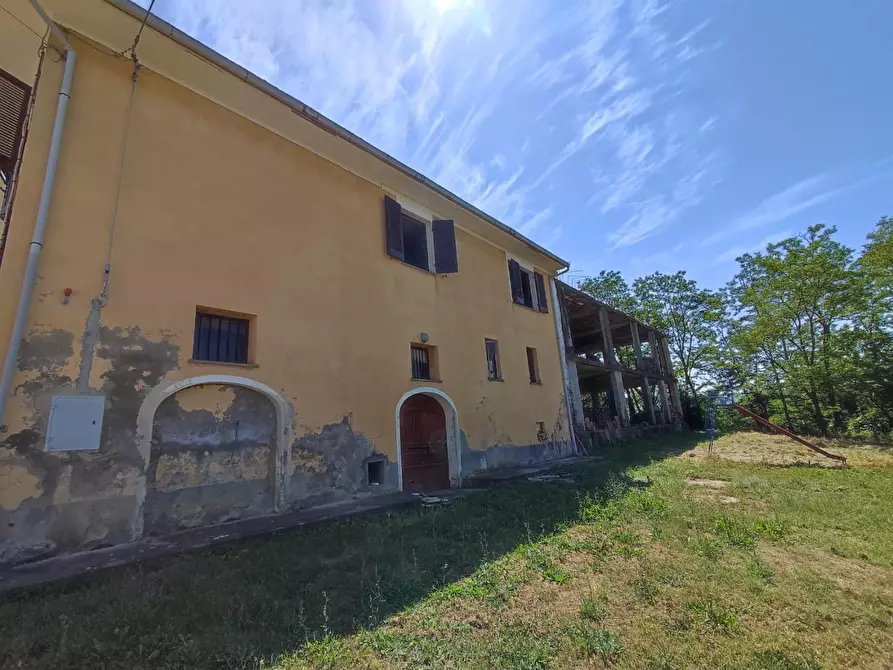 Immagine 18 di Casa colonica in vendita  a Peccioli