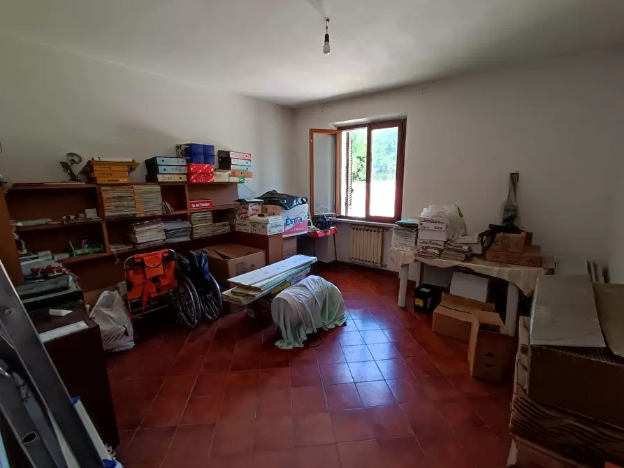 Immagine 9 di Casa colonica in vendita  a Peccioli