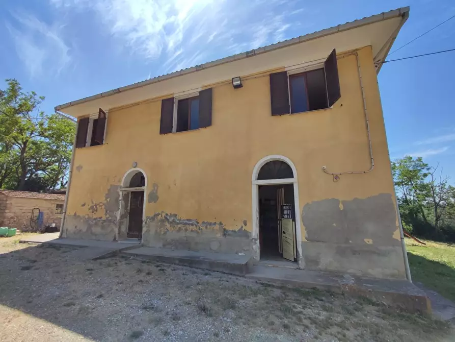 Immagine 4 di Casa colonica in vendita  a Peccioli