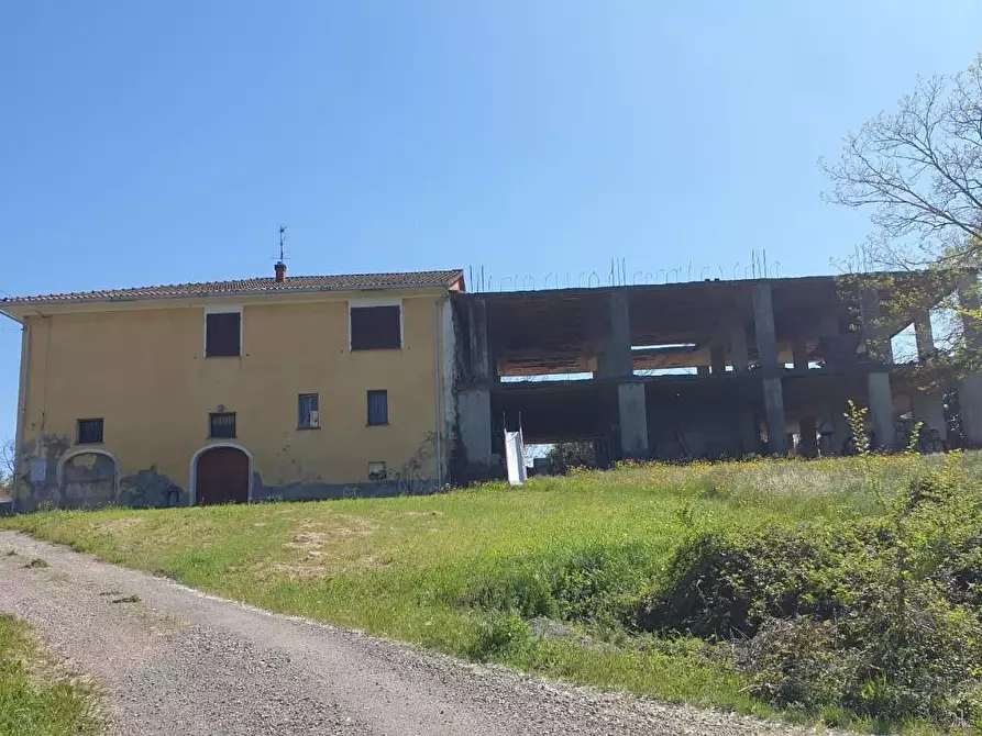 Immagine 15 di Casa colonica in vendita  a Peccioli