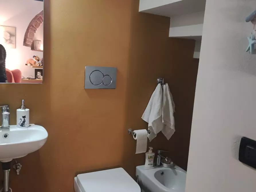 Immagine 15 di Rustico / casale in vendita  a Pisa