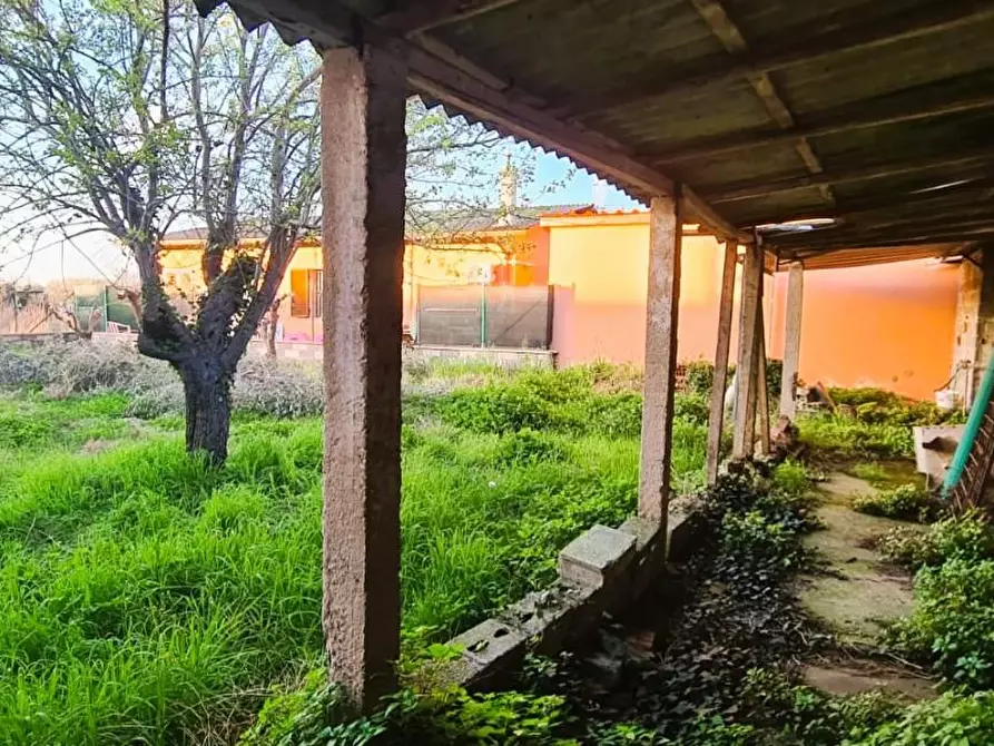 Immagine 2 di Magazzino in vendita  a Pisa