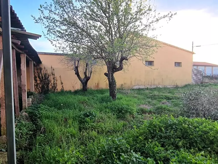 Immagine 4 di Magazzino in vendita  a Pisa