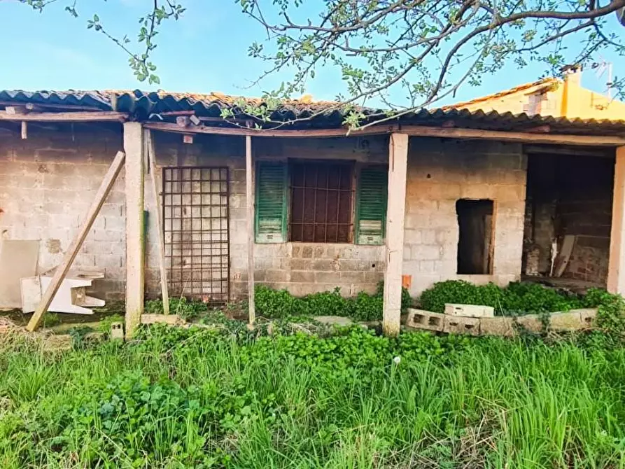 Immagine 5 di Magazzino in vendita  a Pisa