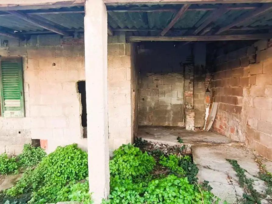 Immagine 6 di Magazzino in vendita  a Pisa