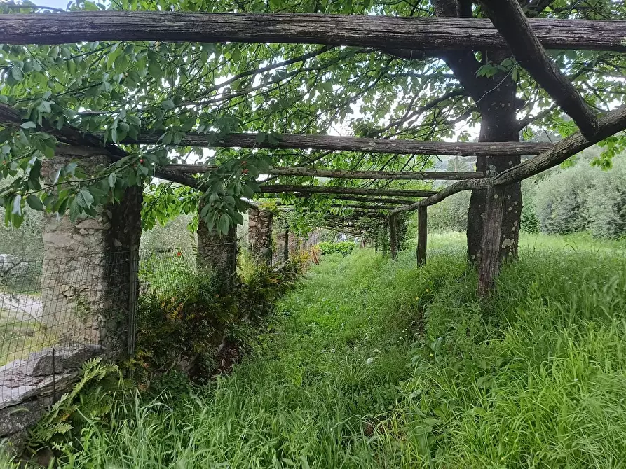 Immagine 20 di Rustico / casale in vendita  a Lucca