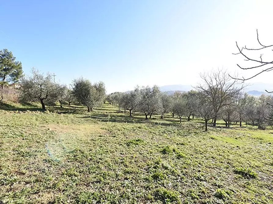 Immagine 38 di Casa bifamiliare in vendita  a Casole D'elsa