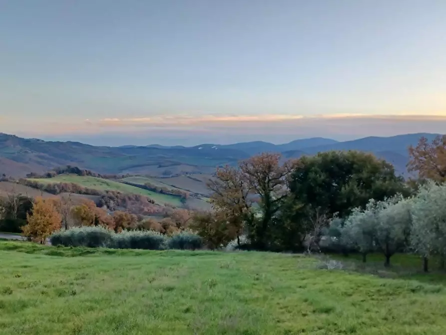 Immagine 47 di Casa bifamiliare in vendita  a Casole D'elsa
