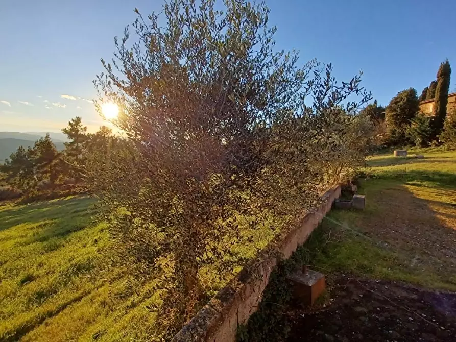 Immagine 21 di Casa bifamiliare in vendita  a Casole D'elsa