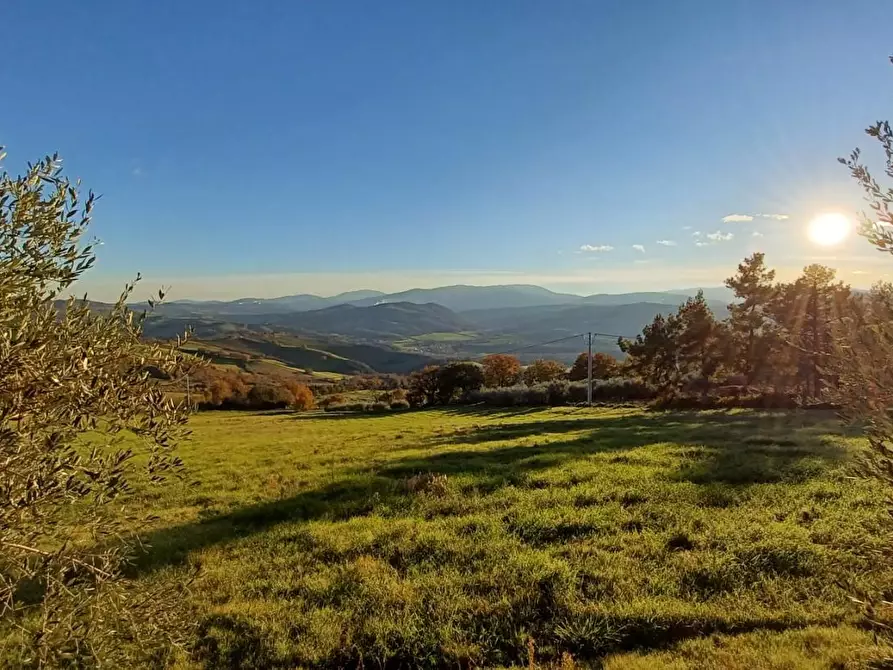 Immagine 3 di Casa bifamiliare in vendita  a Casole D'elsa
