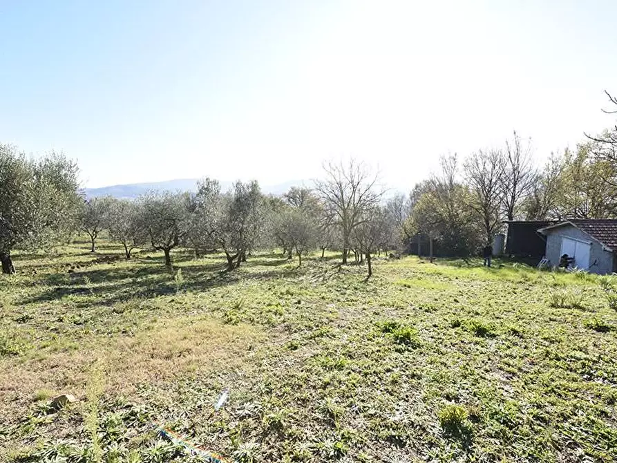 Immagine 39 di Casa bifamiliare in vendita  a Casole D'elsa