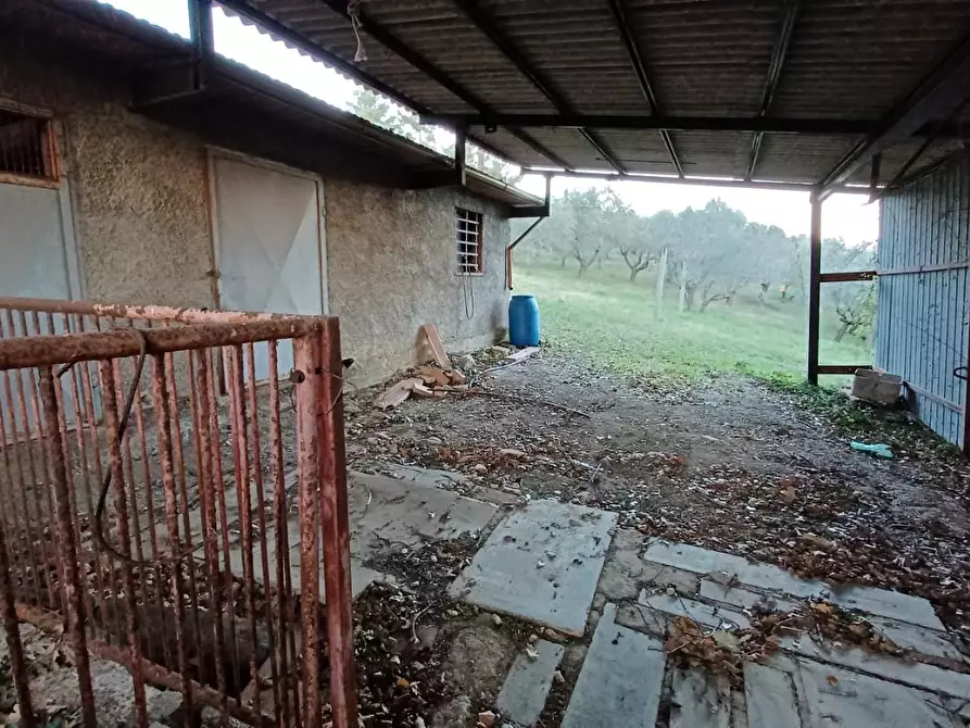Immagine 46 di Casa bifamiliare in vendita  a Casole D'elsa
