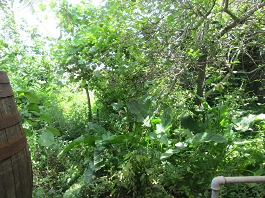 Immagine 30 di Casa indipendente in vendita  a Tresnuraghes