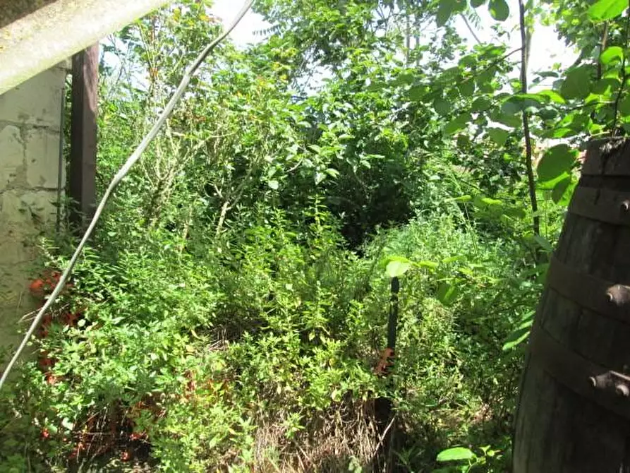 Immagine 29 di Casa indipendente in vendita  a Tresnuraghes