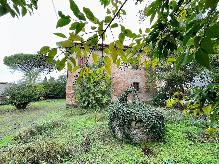 Immagine 3 di Villa in vendita  a San Miniato
