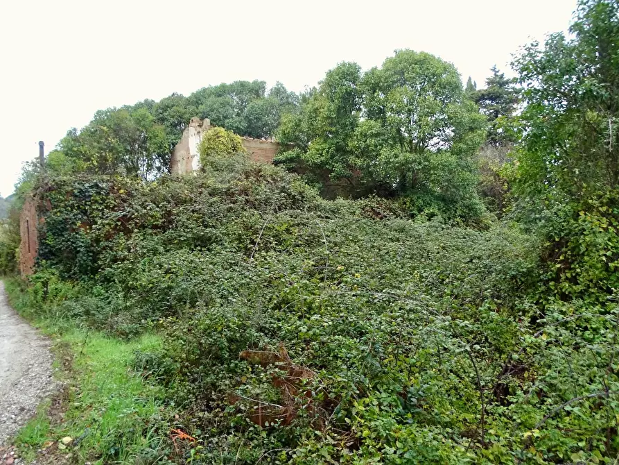 Immagine 47 di Villa in vendita  a San Miniato