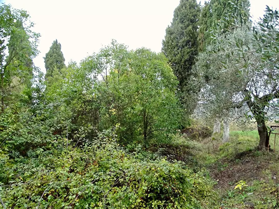 Immagine 49 di Villa in vendita  a San Miniato