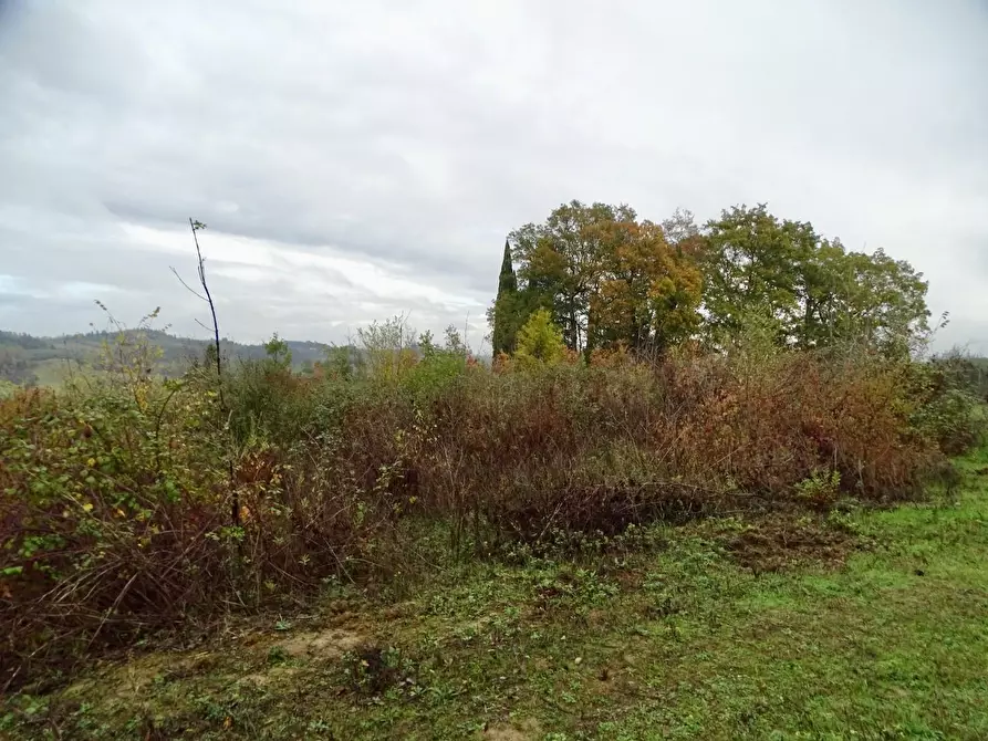 Immagine 57 di Villa in vendita  a San Miniato