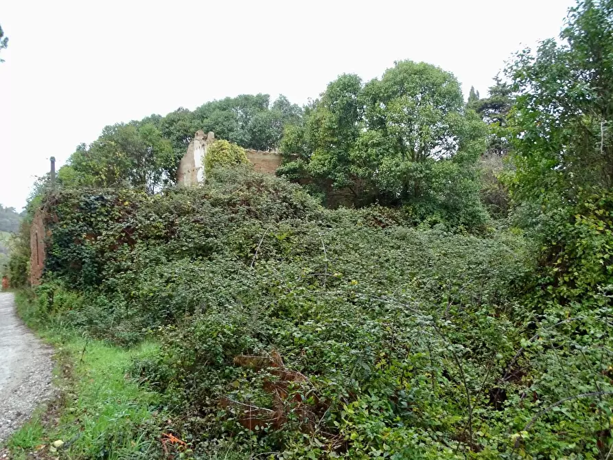 Immagine 48 di Villa in vendita  a San Miniato