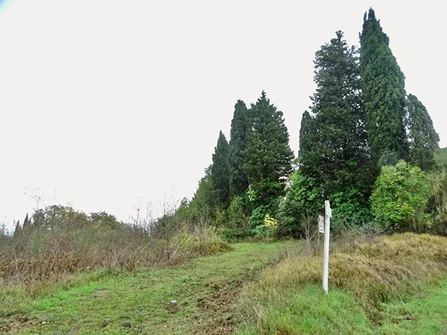 Immagine 58 di Villa in vendita  a San Miniato