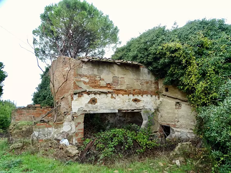 Immagine 35 di Villa in vendita  a San Miniato
