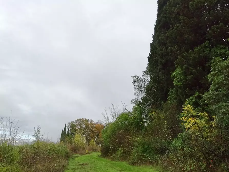 Immagine 52 di Villa in vendita  a San Miniato