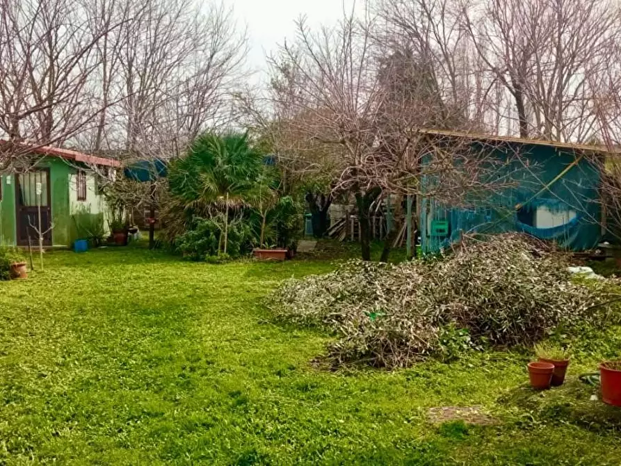 Immagine 2 di Terreno agricolo in vendita  a Livorno