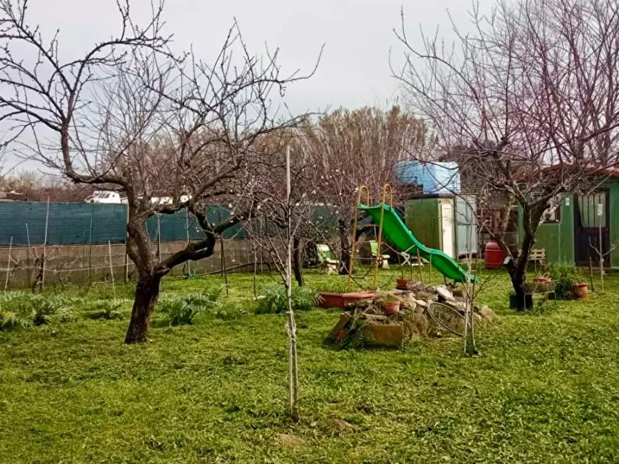 Immagine 5 di Terreno agricolo in vendita  a Livorno