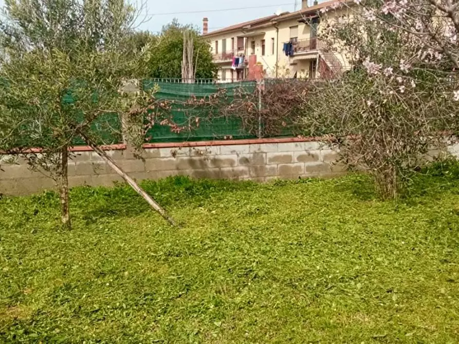 Immagine 4 di Terreno agricolo in vendita  a Livorno
