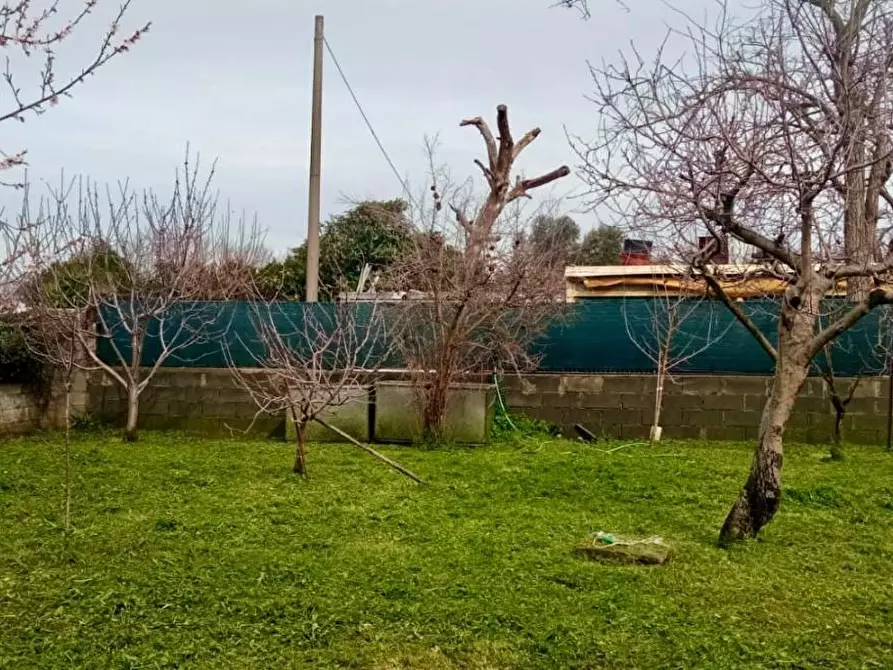 Immagine 3 di Terreno agricolo in vendita  a Livorno