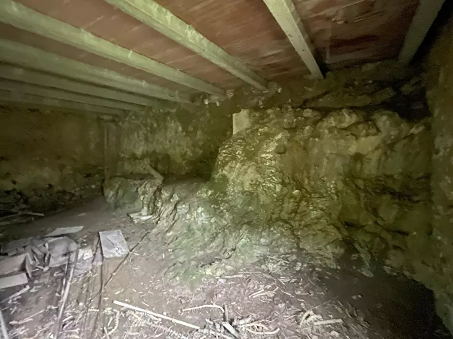 Immagine 46 di Porzione di casa in vendita  a Stazzema