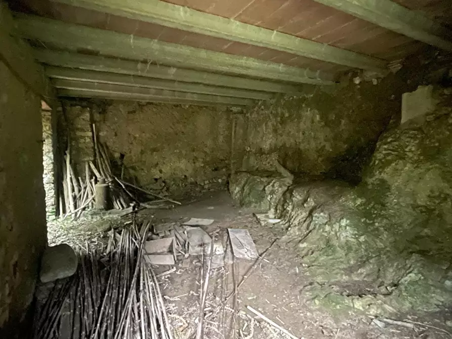 Immagine 47 di Porzione di casa in vendita  a Stazzema